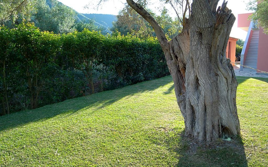 Ionian Breeze Studios Frínion Esterno foto